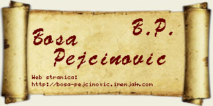 Bosa Pejčinović vizit kartica